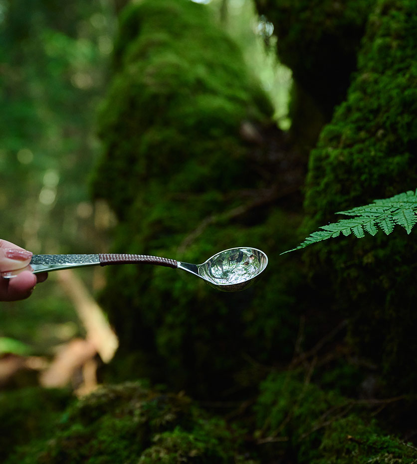 森の中のcupping spoon